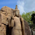 Aukana and Anuradhapura Day Tour From Sigiriya - What Travelers Say About This Tour