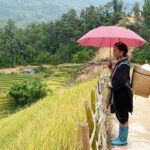 Authentic Sapa 3 Days 2 Nights 3star Hotel Trekking and Relaxing - What Makes This Tour Stand Out?
