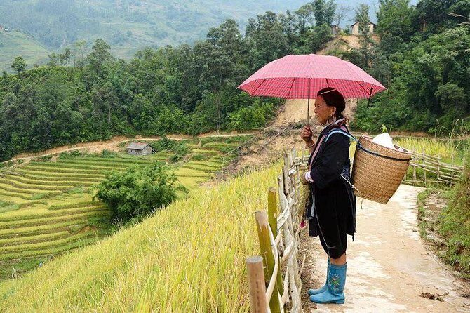 Authentic Sapa 3 Days 2 Nights 3star Hotel Trekking and Relaxing - What Makes This Tour Stand Out?