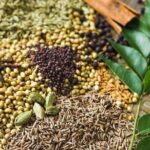 Authentic Srilankan Home Cooking Near Airport - Who Will Love This Experience?