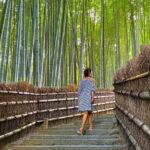 Avoid the Crowds at the Hidden Gems of Arashiyama in Kyoto - What Makes This Tour Valuable?