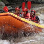 Ayung River Rafting in Ubud including Buffet Lunch - Why This Tour Might Be Perfect for You