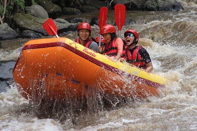 Ayung River Rafting in Ubud including Buffet Lunch - Why This Tour Might Be Perfect for You