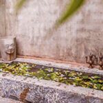 Ayurveda Treatment for Dermatological Diseases - FAQs