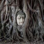 Ayutthaya Eco-Friendly Bike Tour-Famous Landmarks & Cultural Gems - Detailed Breakdown of the Itinerary