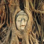 Ayutthaya Iconic Attraction by Rail, Road and River From Bangkok - What the Reviews Say (Insights from Past Travelers)