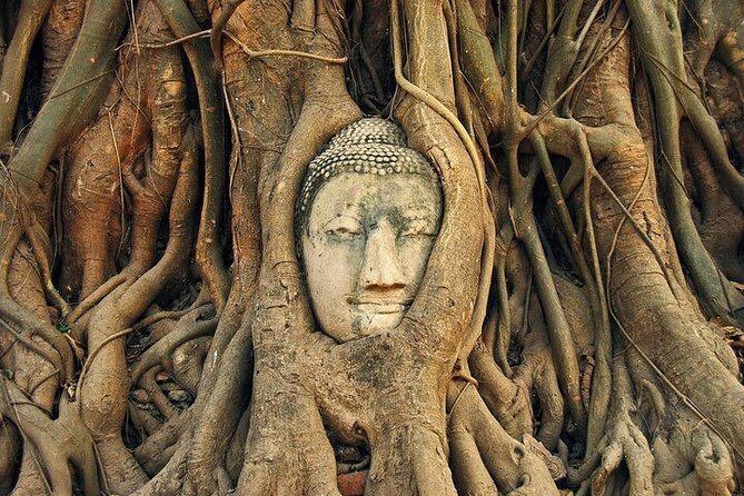 Ayutthaya Iconic Attraction by Rail, Road and River From Bangkok - What the Reviews Say (Insights from Past Travelers)