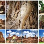 Ayutthaya Join in Day Tour - Sriayuthaya Lion Park: A Wildlife Adventure Close to Bangkok