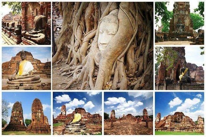 Ayutthaya Join in Day Tour - Sriayuthaya Lion Park: A Wildlife Adventure Close to Bangkok