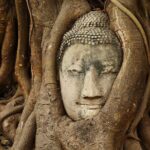 Ayutthayas Heritage Revealed A Day Tour from Bangkok - Value and Practicality