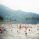 Ba Be remote regions trekking 5 days - The Experience and What It Means for You