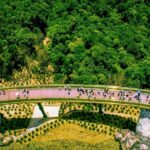Ba Na hills - Golden Bridge 1 Day - Lunch and Rest