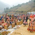 Bac Ha Market full day tour from Sapa - Who Would Love This Tour?