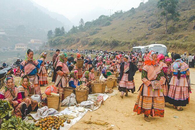 Bac Ha Market full day tour from Sapa - Who Would Love This Tour?