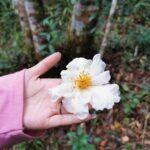 Bach Ma National Park Tour From Hue City - Who Should Consider This Tour?