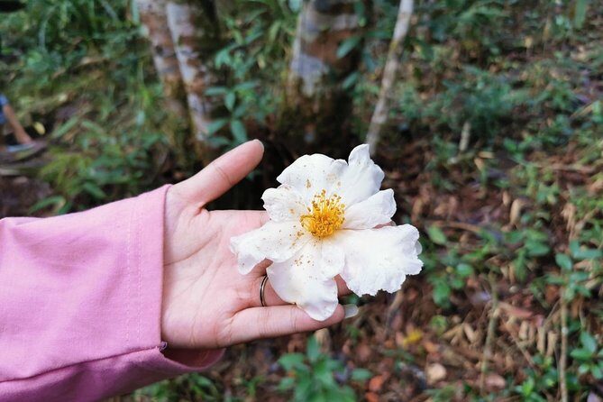 Bach Ma National Park Tour From Hue City - Who Should Consider This Tour?