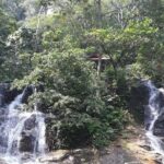 Back to Nature Tour - Templer's Park, Hot Spring & Batu Caves - Final Thoughts on the Experience and Value