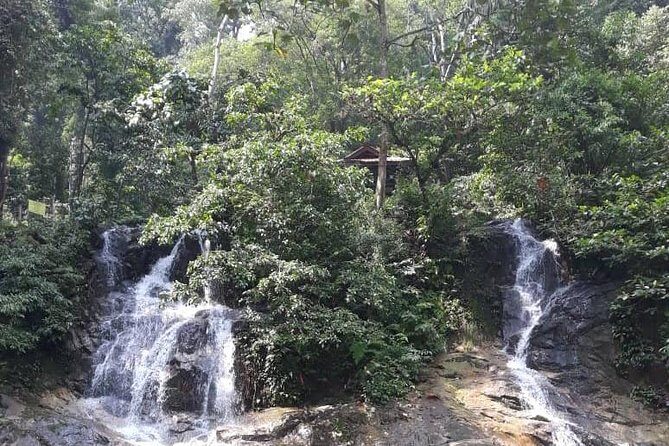 Back to Nature Tour - Templer's Park, Hot Spring & Batu Caves - Final Thoughts on the Experience and Value
