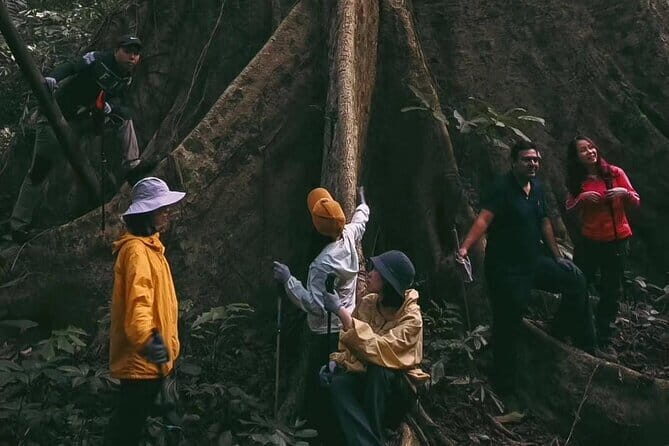 Bai Dinh, Trang An, Mua Cave, Cuc Phuong National Park 2 Day Tour - Day Two: Nature and Conservation at Cuc Phuong