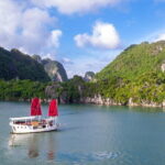 Bai Tu Long Private Day Cruise with Lunch and Best Care - Bai Tu Long Bay: The Scenic Heart of the Tour