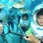 Bali Activity: Bali Sea Walking in Nusa Dua Ocean - The Pros and Cons