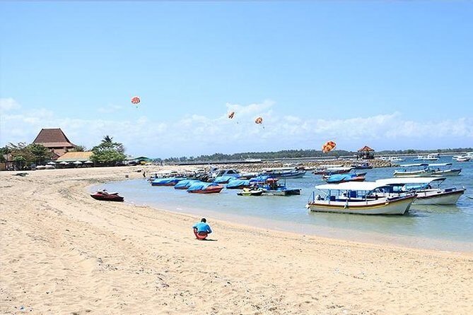 Bali Amazing Beaches Tour - Who Is This Tour Perfect For?