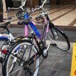 Bali Bicycle Rental - Who Will Love This Experience?