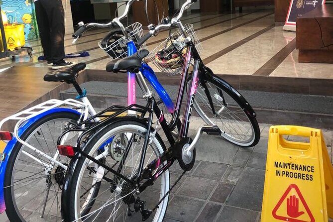 Bali Bicycle Rental - Who Will Love This Experience?