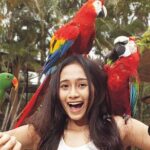 Bali Bird Park Entrance Tickets - Who Will Love Bali Bird Park?