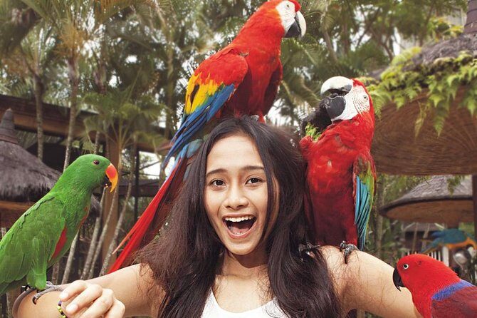 Bali Bird Park Entrance Tickets - Who Will Love Bali Bird Park?