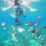 Bali Blue Lagoon Snorkeling with Optional Sightseeing - An In-Depth Look at the Bali Blue Lagoon Snorkeling Tour
