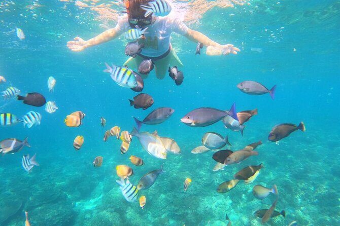 Bali Blue Lagoon Snorkeling with Optional Sightseeing - An In-Depth Look at the Bali Blue Lagoon Snorkeling Tour