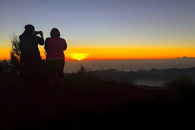 Bali Buggy and Ubud Tour Packages - What to Expect: The Real Deal