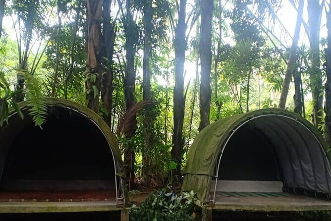 Bali Cycling Explore Village and Firefly with Lunch - The Sum Up