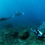Bali Hai - PADI Advance Open Water Course in Bali - The Value of This Experience