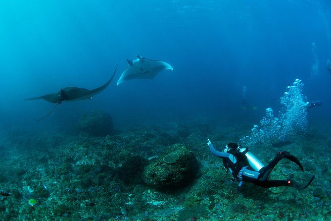 Bali Hai - PADI Advance Open Water Course in Bali - The Value of This Experience