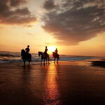Bali Horse Riding on the Ricefields & Beach - Who Is This Tour Best For?