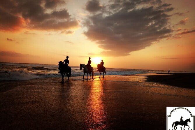 Bali Horse Riding on the Ricefields & Beach - Who Is This Tour Best For?