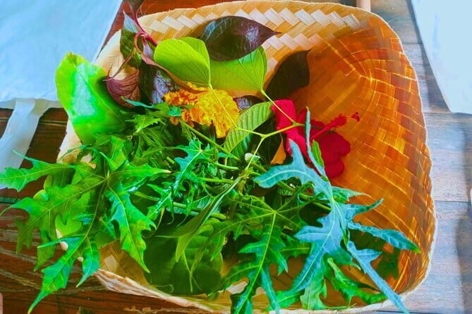 Bali Kaura Children's Adventure Activities with Private Transfer - What the Tour Includes & Practical Considerations