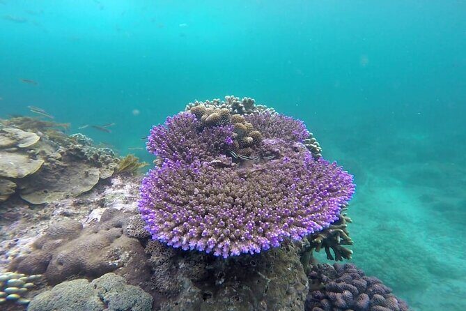 Bali Lempuyang Gate of Heaven and Private Blue Lagoon Snorkeling - Authentic Insights from Reviews