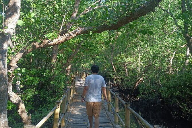 Bali Mangrove Forest Canoeing, Uluwatu Temple and Kecak Dance - Who Will Love This Tour?
