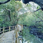 Bali: Mangrove Kayaking, GWK Park, Uluwatu Kecak fire Dance - Practical Details & What to Expect