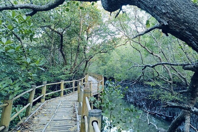 Bali: Mangrove Kayaking, GWK Park, Uluwatu Kecak fire Dance - Practical Details & What to Expect