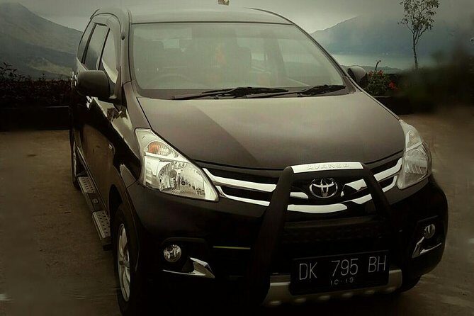 Bali Private Transfer: Round Trip Ngurah Rai Airport-Ubud Area - How the Experience Looks in Practice