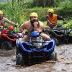 Bali Quad Bike and Best Waterfalls Tour - What Travelers Say: Insights from Reviews