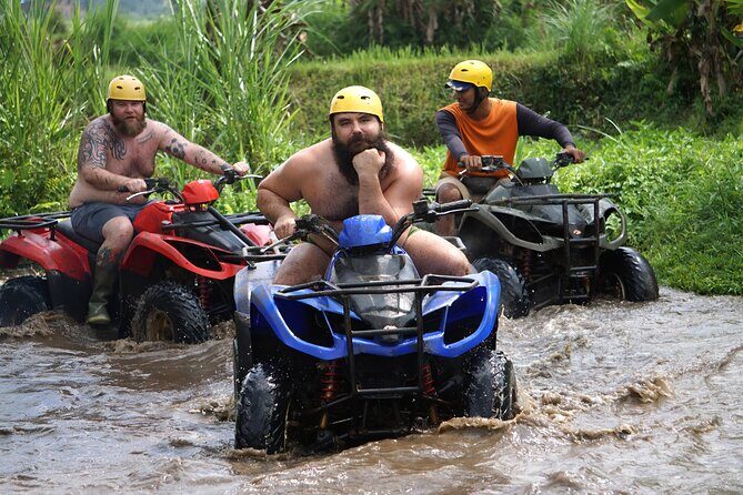 Bali Quad Bike and Best Waterfalls Tour - What Travelers Say: Insights from Reviews