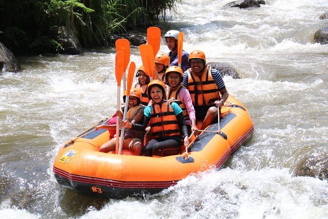 Bali Rafting with Lunch and Transport - Final Thoughts