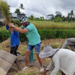 Bali Rural Eco Private Bike Tour in Ubud with Lunch - Final Thoughts: Who Will Love This Tour?