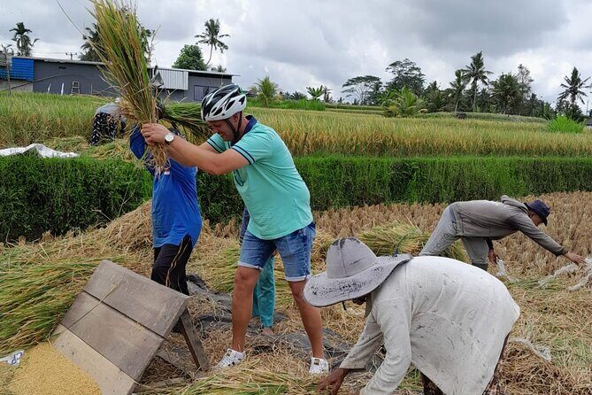 Bali Rural Eco Private Bike Tour in Ubud with Lunch - Final Thoughts: Who Will Love This Tour?