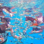 Bali Snorkeling at Blue Lagoon and Tanjung Jepun - Who Should Consider This Tour?